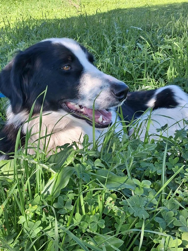 576984972_1732073887483626_1256655534334972669_n