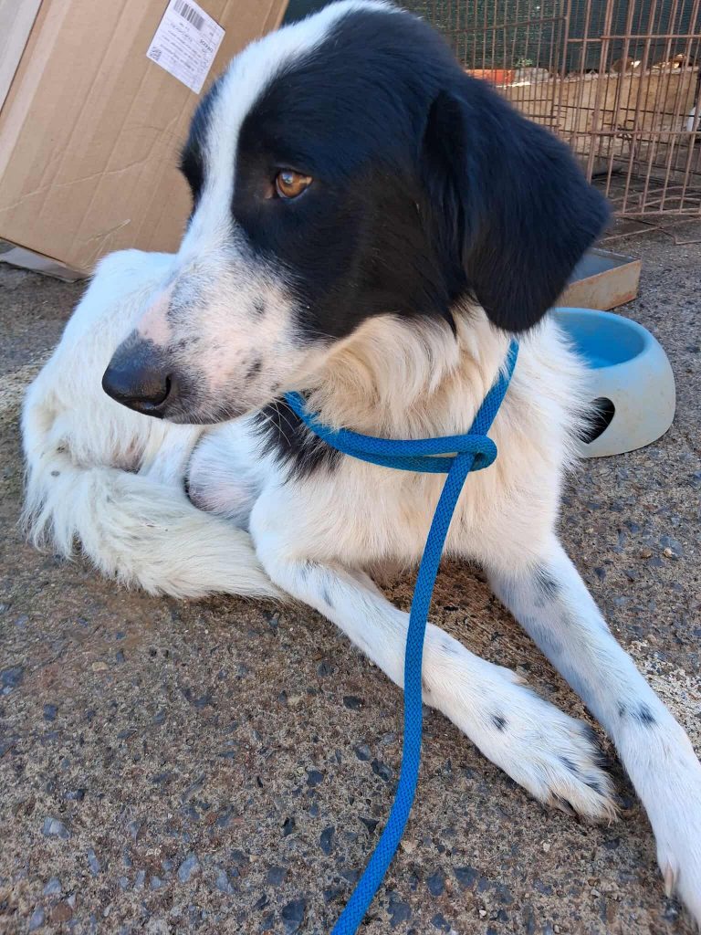 577025911_1171776511566321_6278761643294312142_n