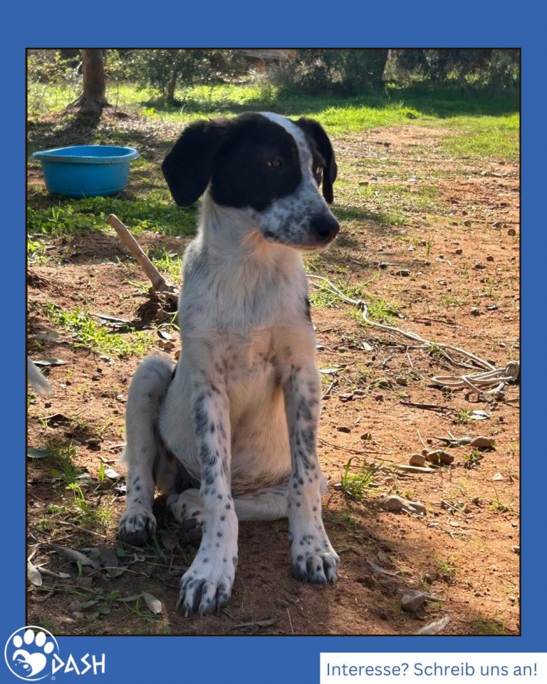 577410923_1271812071654743_5053806782817003826_n