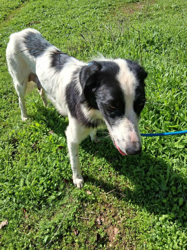 577551428_1228248759137843_7824364618745399670_n