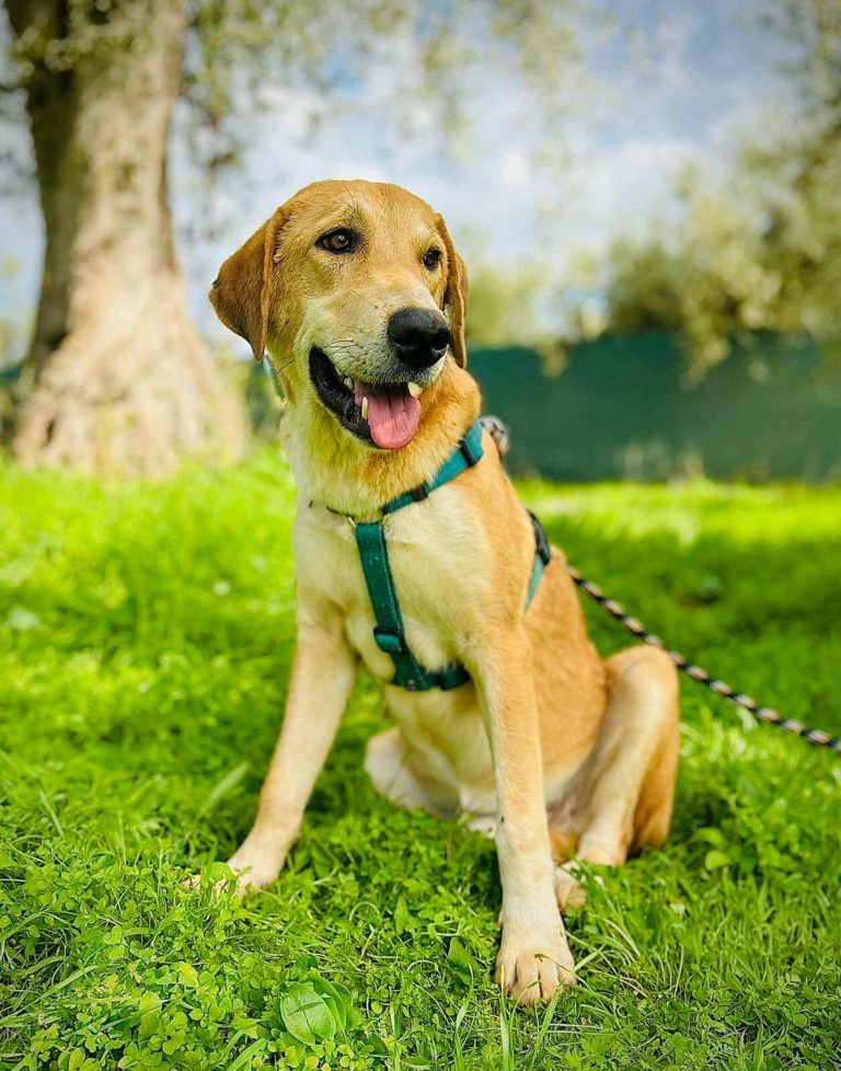 577621505_679791211868614_3341756654417314234_n