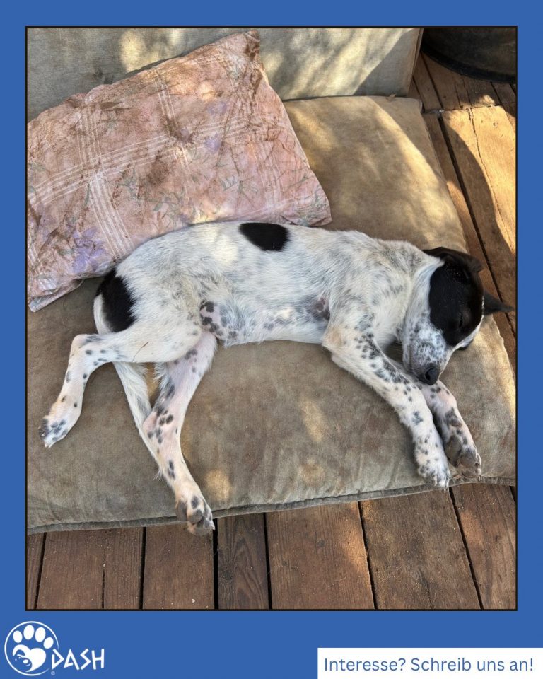 577811218_1271812064988077_1306457944436405852_n