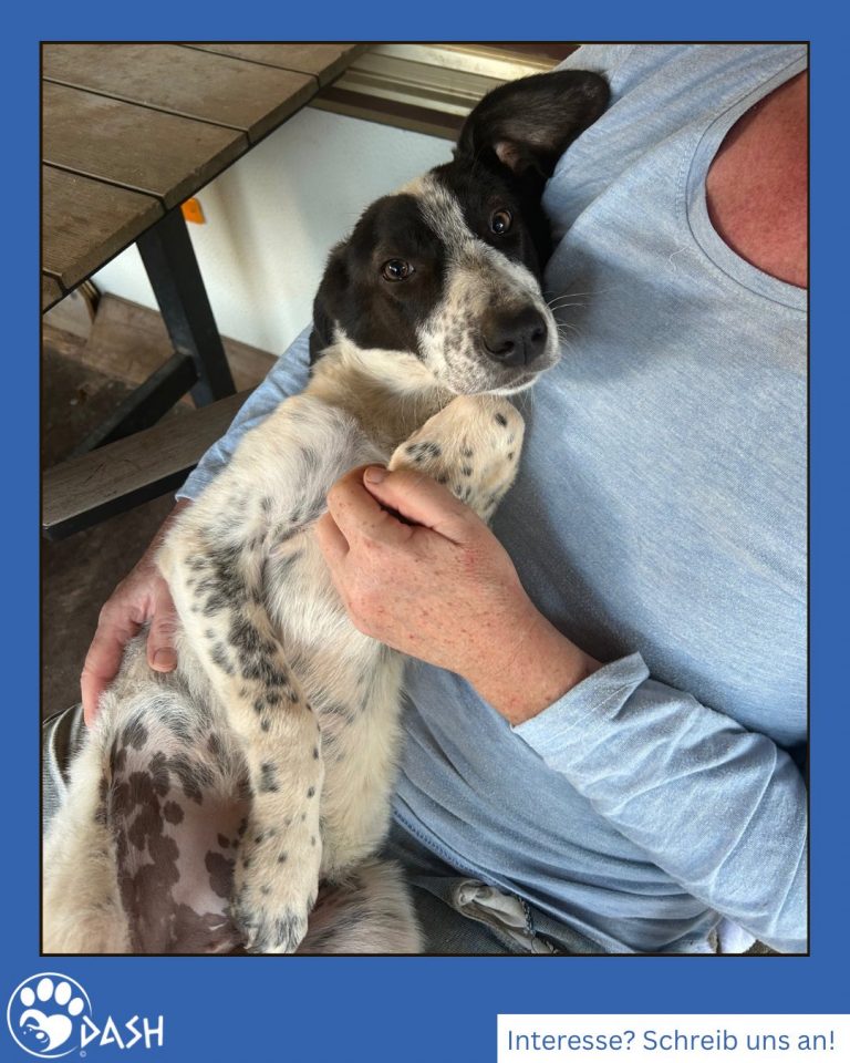 577822261_1271812014988082_6432884188378521210_n