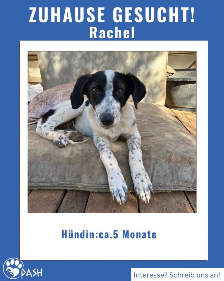 577865010_1271812008321416_7404138659286077495_n