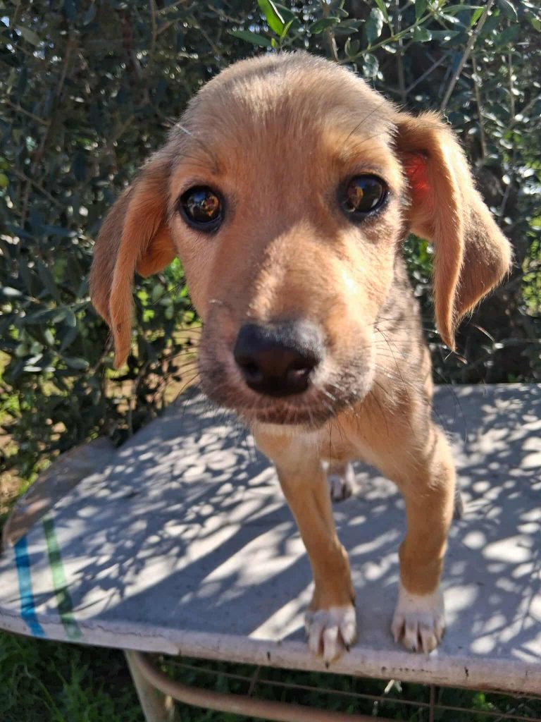 578698986_1196193112428069_2165954510407204448_n