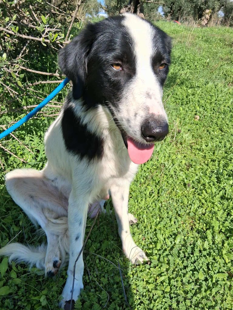 578807467_1881872036014240_8085788760800546742_n