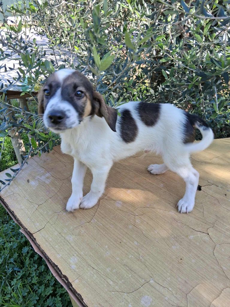 579068225_1216575620323764_3360795780324627671_n