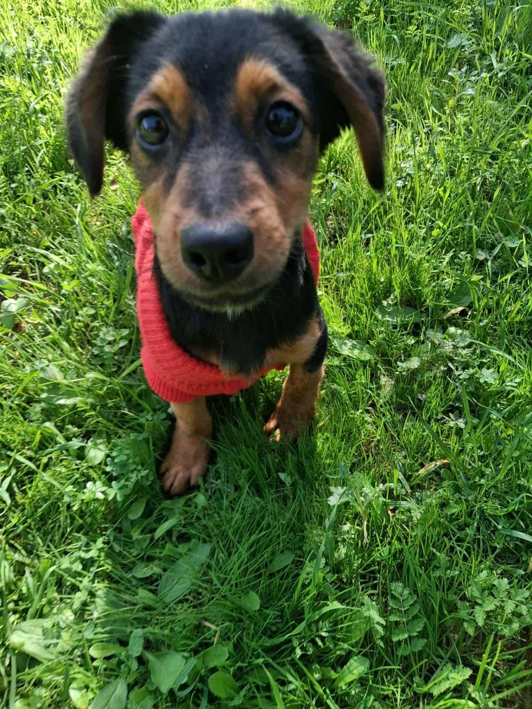 579077135_1381610936816162_3014504951241111376_n