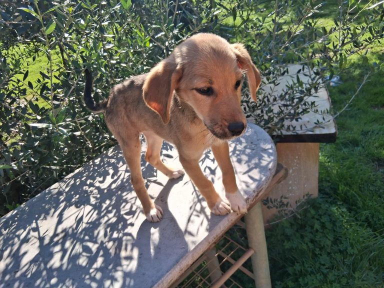 579080488_1706610160006942_2882298171644386018_n