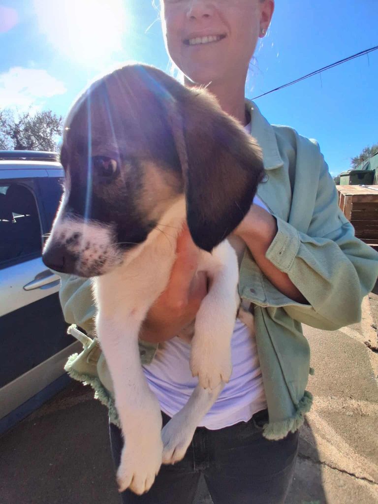 579090690_1197252639025153_5529108082872875615_n