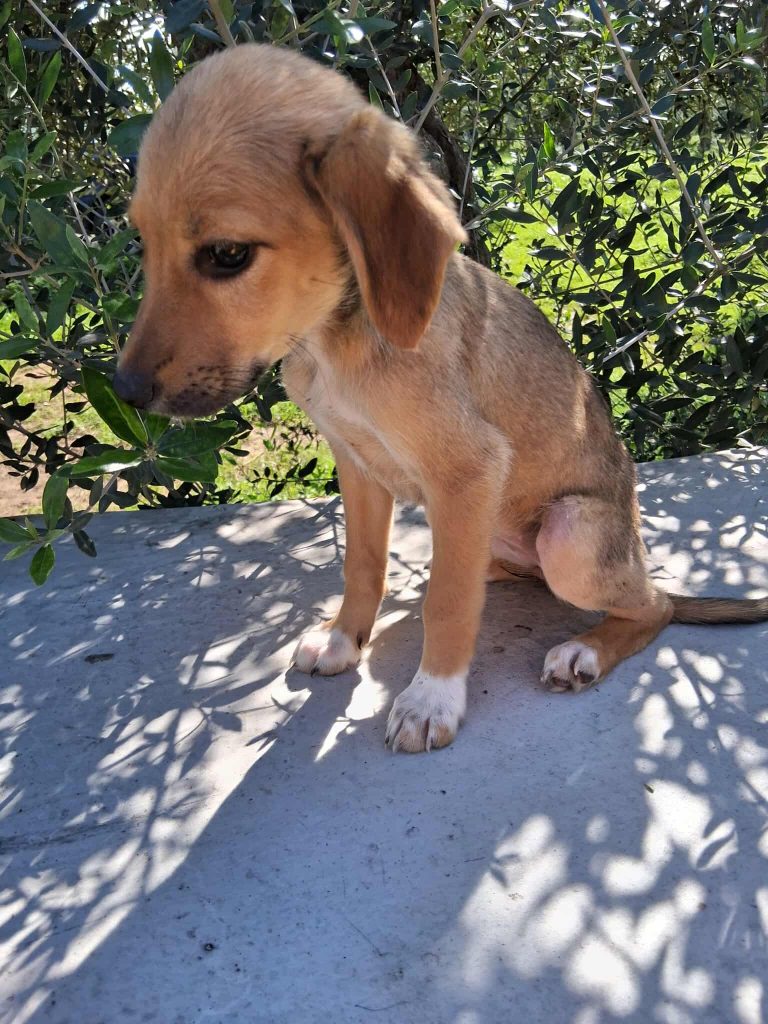 579105248_822787557320075_5163660319976846741_n