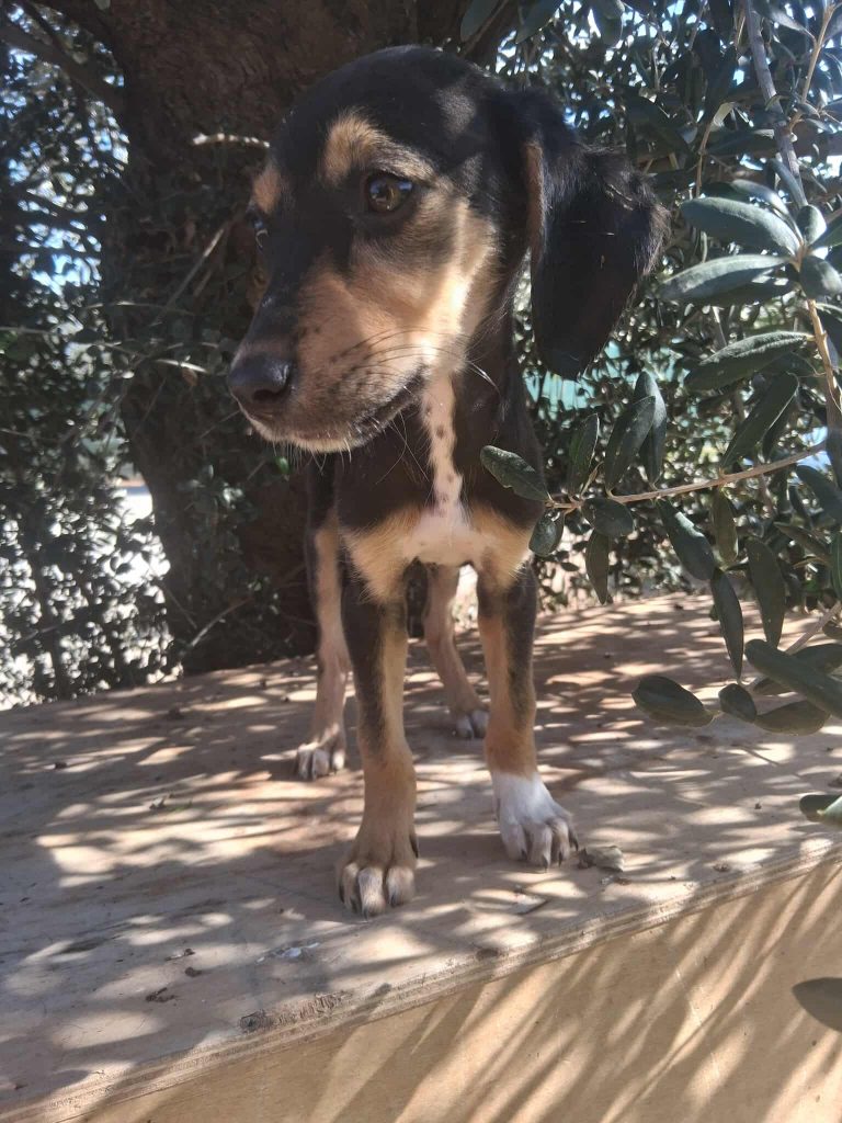 579114567_681182518130830_8048012389324831042_n