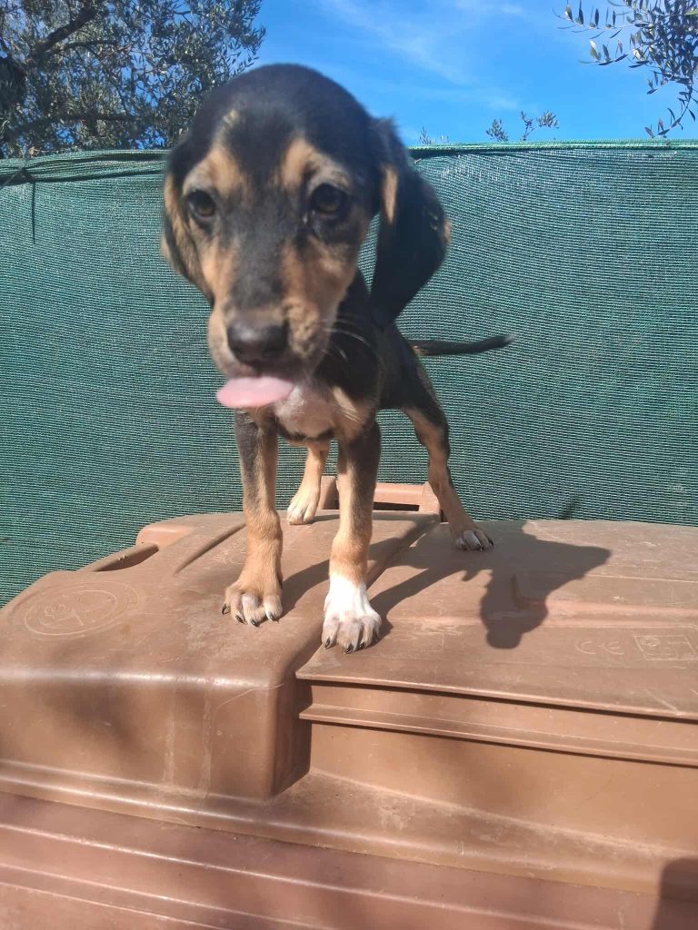 579394278_768599656235041_7646945182094413175_n