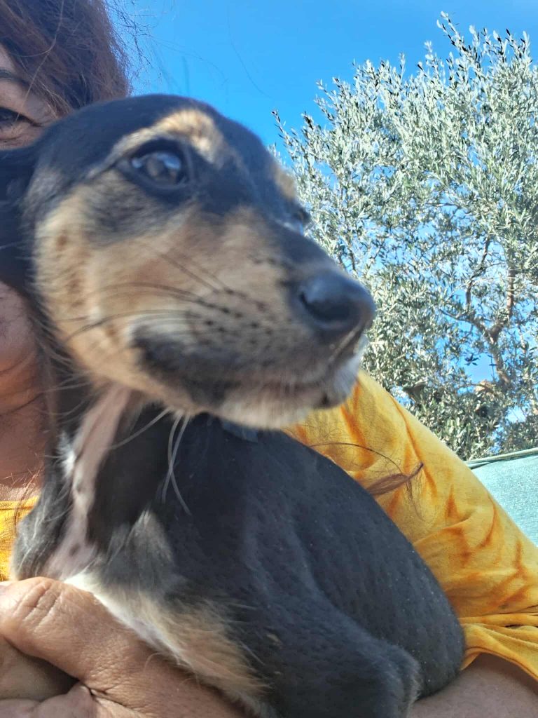 579407670_2651568768545841_4152888944896607216_n