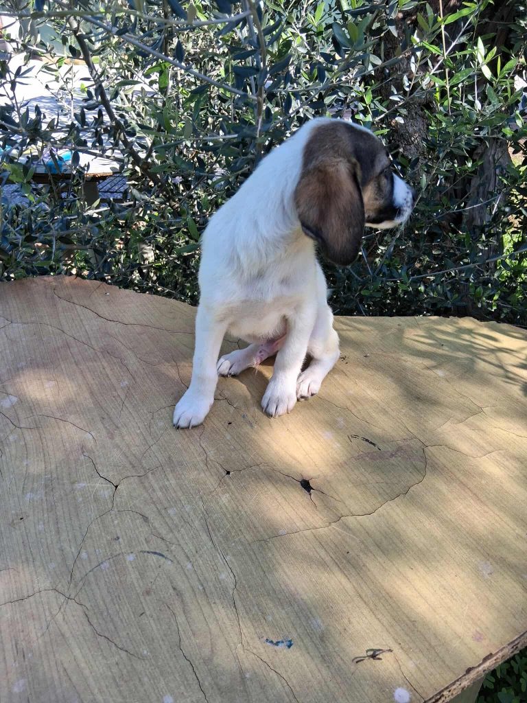 579437342_1892143858039109_4348528714857001724_n