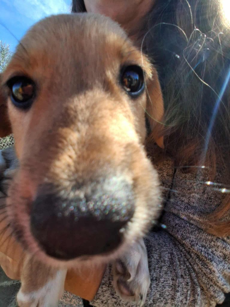 579646957_848213247703812_8319471127971302809_n