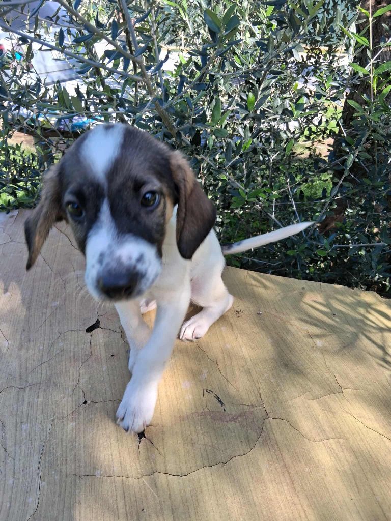 579925788_803052282611199_1326588952307998881_n