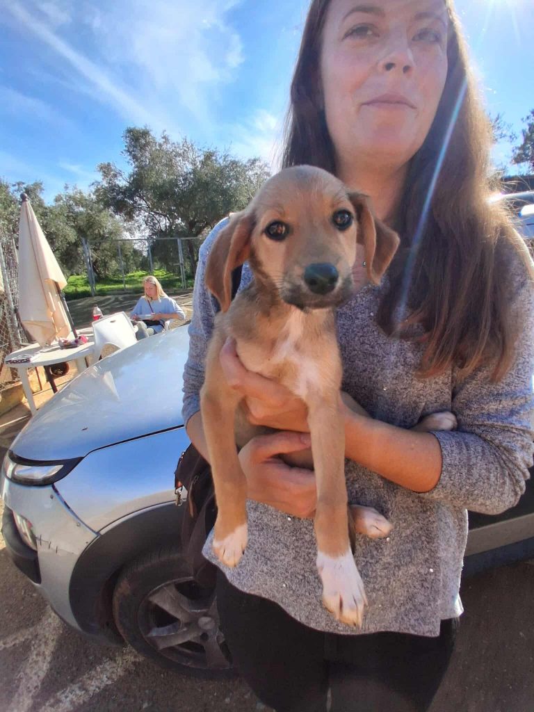 580120128_815591294600250_3121005153857578011_n