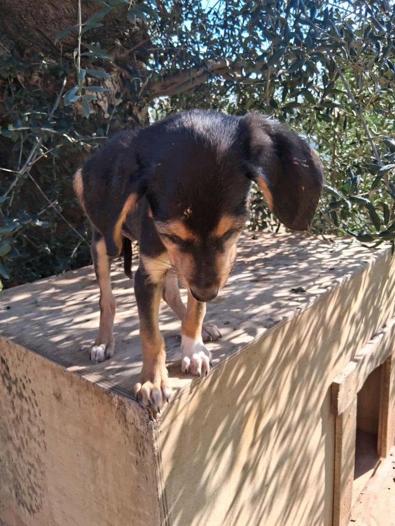 580723189_1504615987489828_1881496429490525976_n