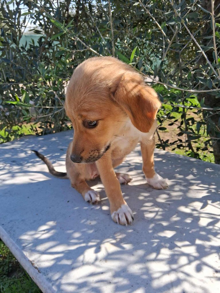 581607854_1331281288487013_2591225906792237731_n