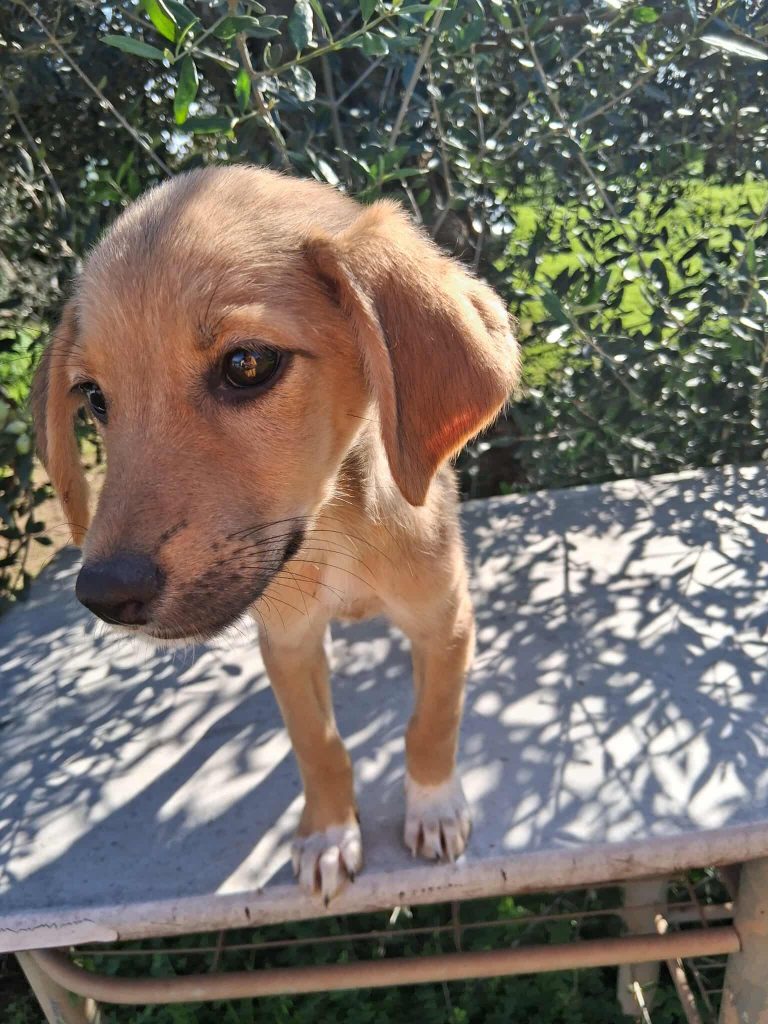 581649772_1620450455984550_1146874633584217449_n