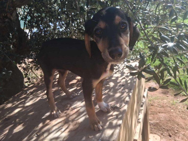 581691850_1428415441974650_3587218008997371324_n