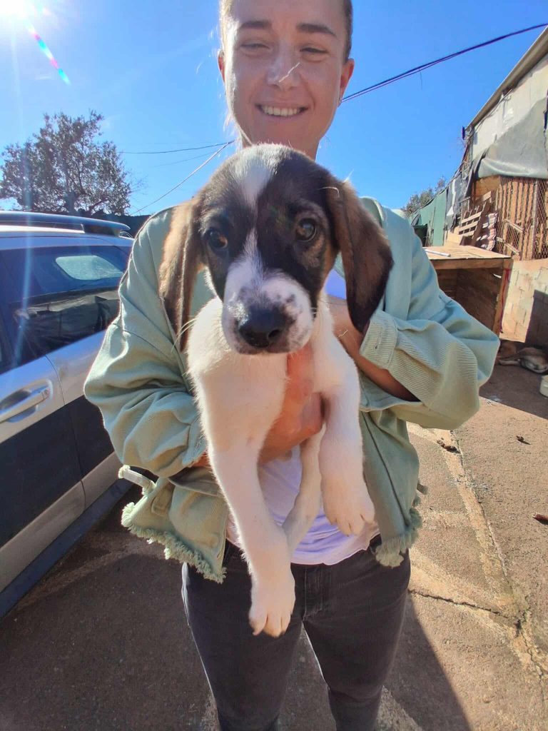 581702488_716030344300245_2847366842753021966_n