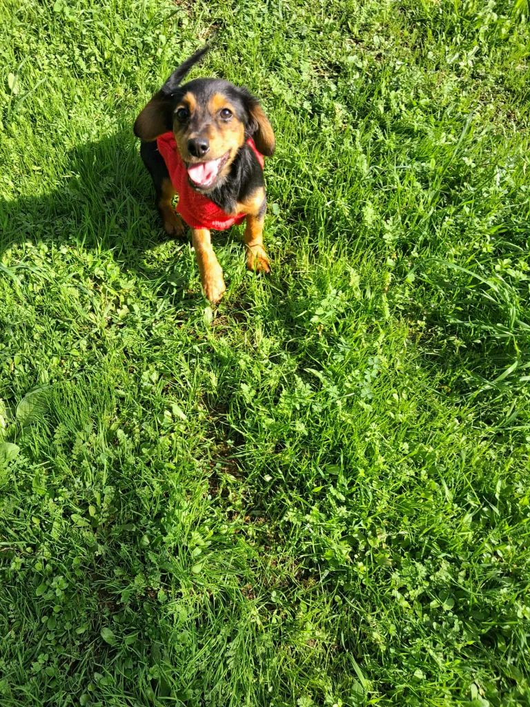 581808263_1798261944162042_5829830509440313843_n