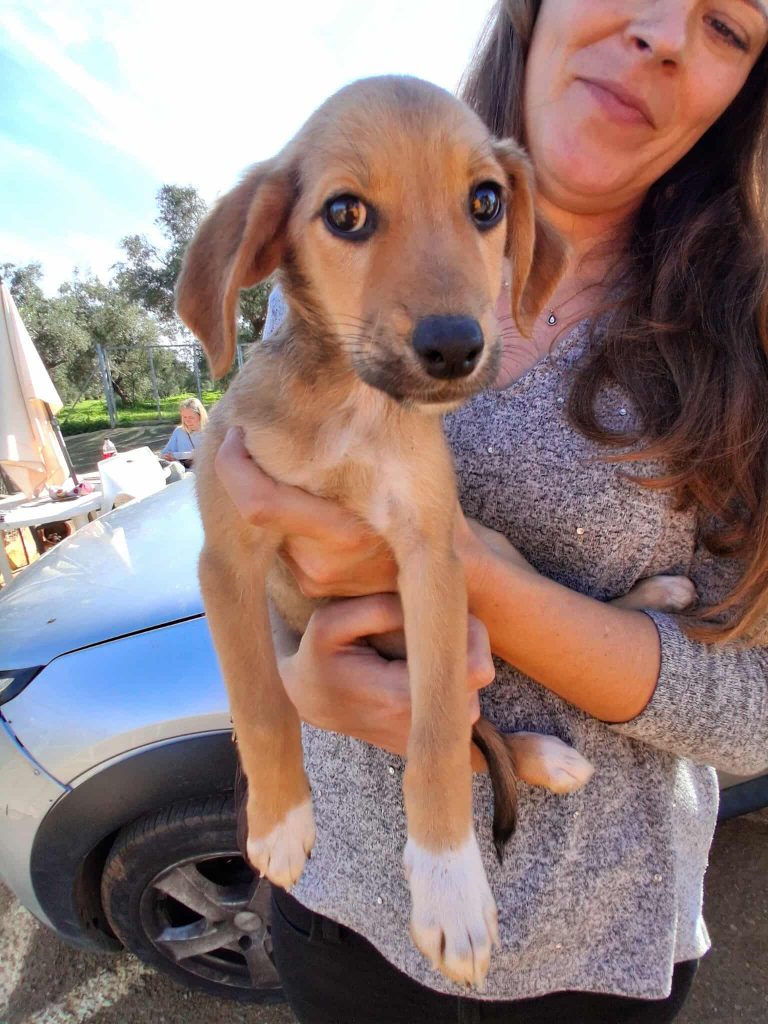 581896076_1094111766113331_6245522115117883277_n