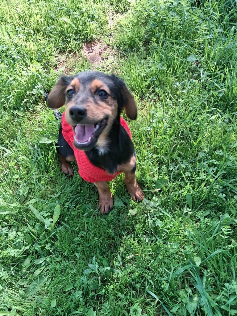 581916155_862052549584992_2092118696320645695_n