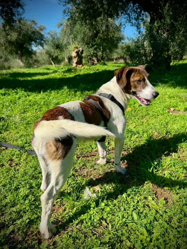 581940935_1400895668410973_1850334210334850393_n