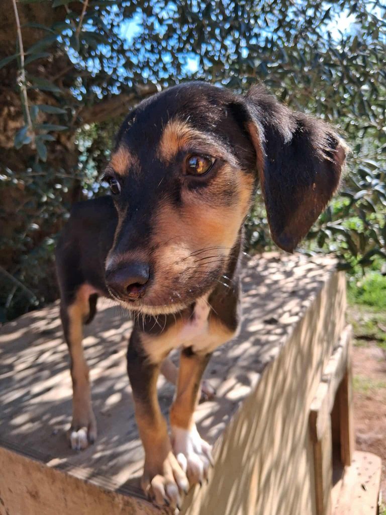 581979121_3326577957509747_2392557531238704146_n