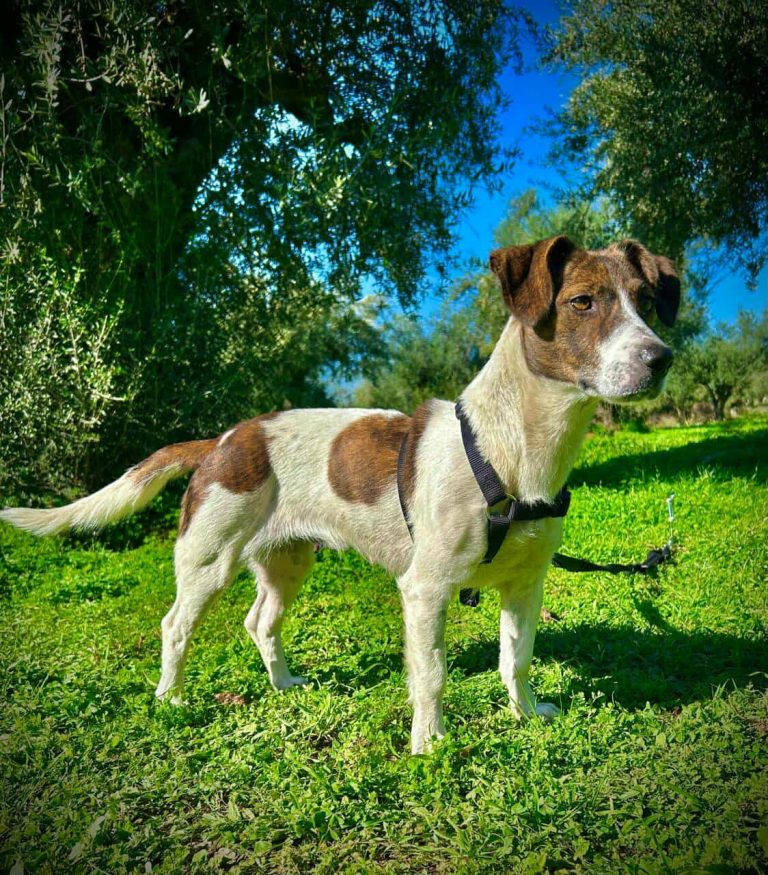 581982680_864275402603922_2905409134130960141_n