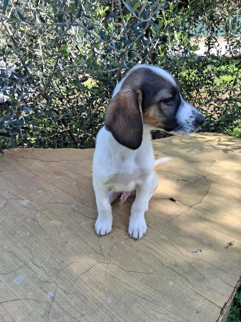 581995323_2606361409706906_7780233829144981927_n