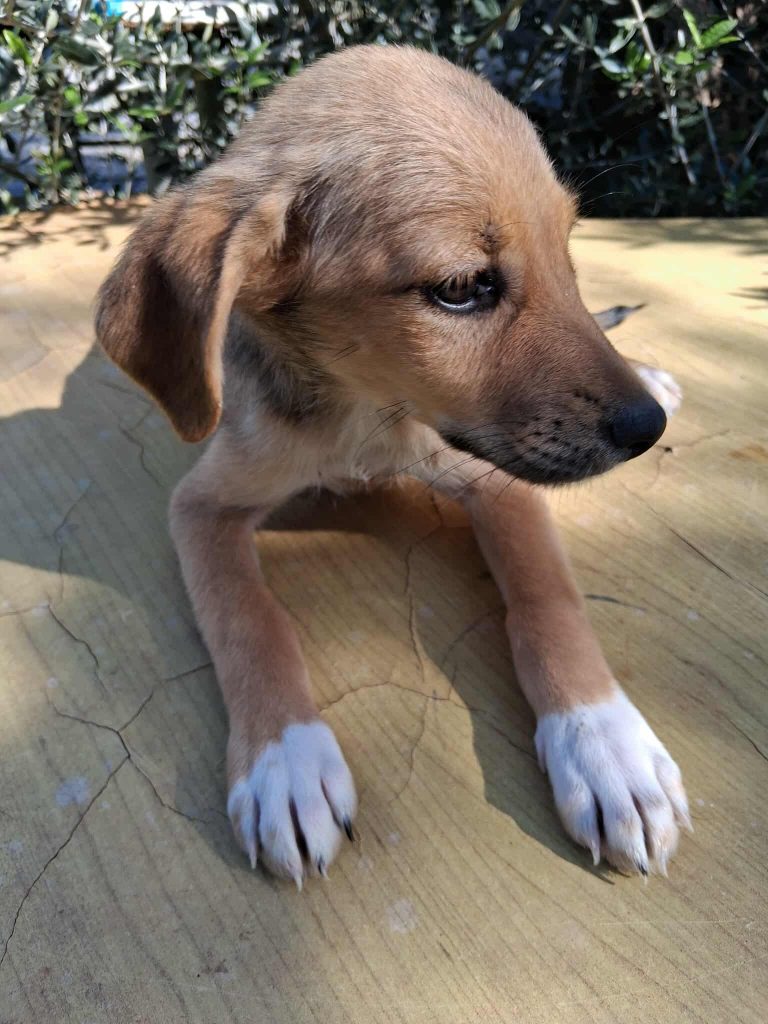 582000327_1167824448224707_2381070900565268271_n