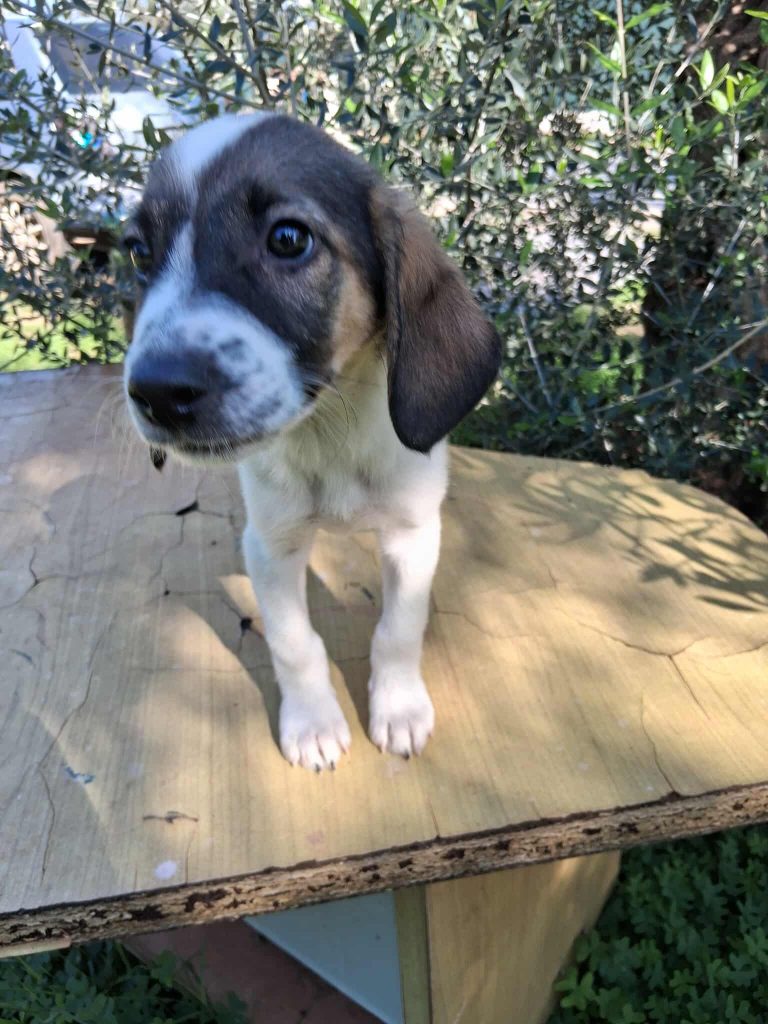 582001379_1507094370377341_6009846498733832458_n