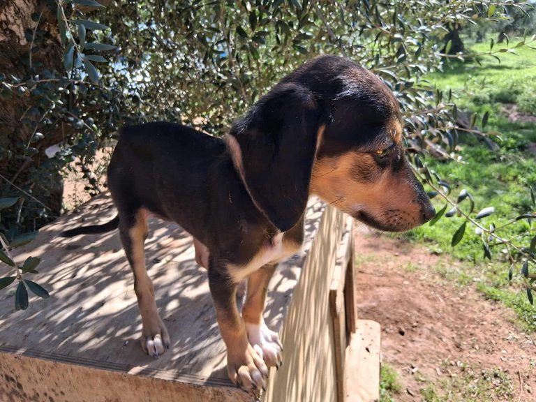 582014106_1132336895778372_2755186351595770188_n