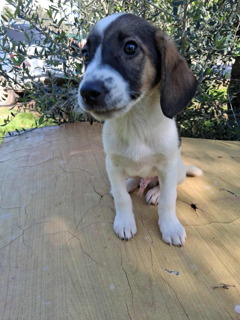 582032870_826262990025491_4471356563864830039_n