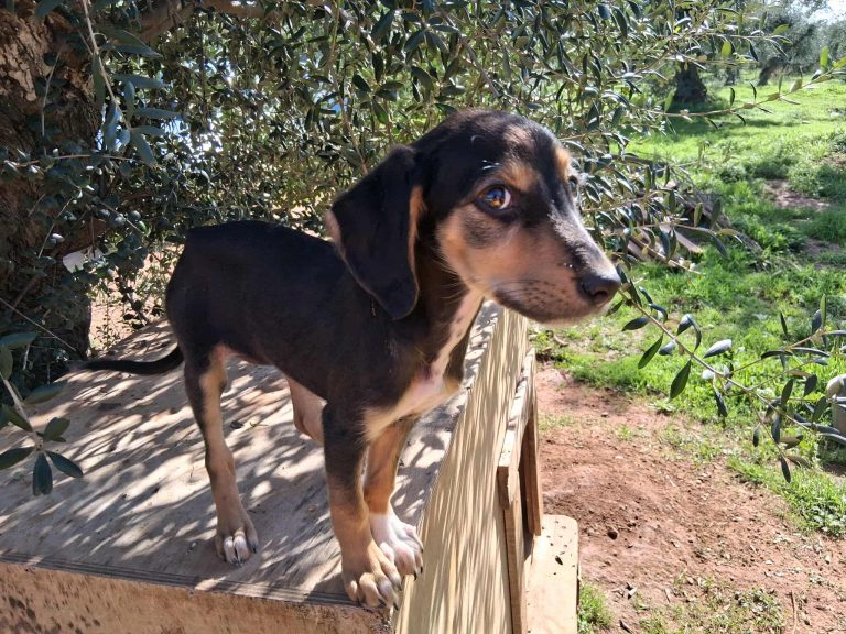 582041176_1239204774700548_6083844982910306827_n