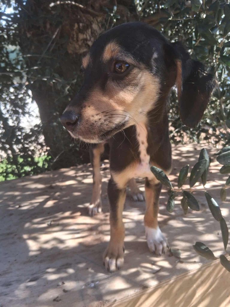 582043998_3752388265065945_6134491850502231757_n