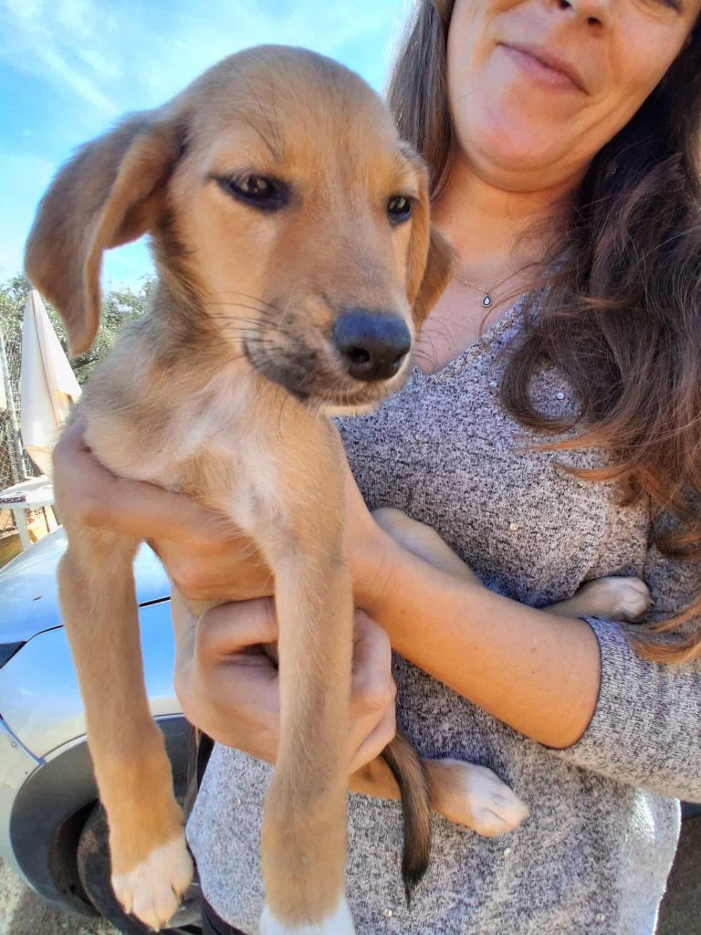 582050736_818763087425696_9190194987959213832_n