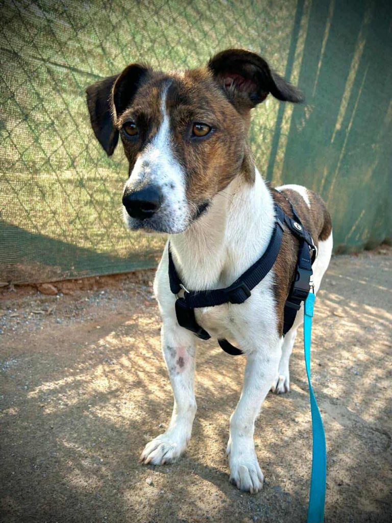 582053170_1142510461203903_6370142463108882465_n