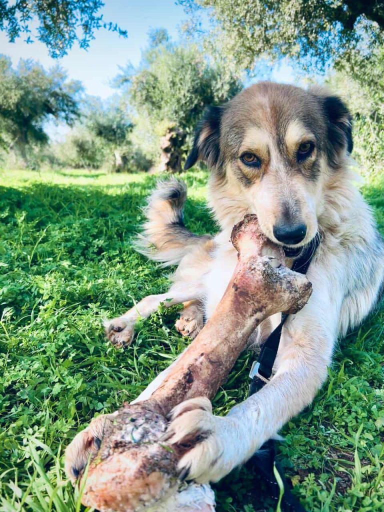 582058039_1025816143024102_608144654814300834_n