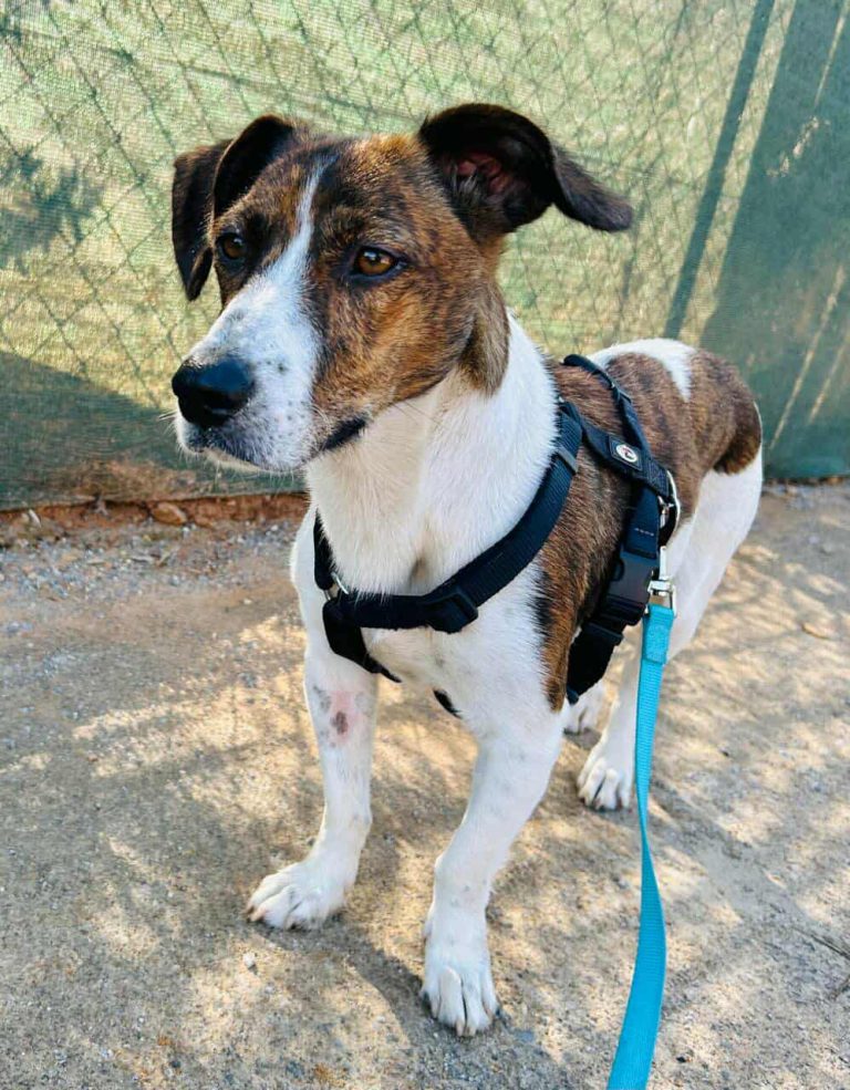 582067945_1160184666257537_5612643571826475376_n