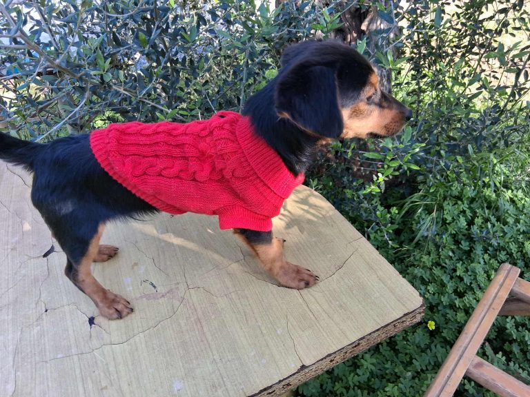 582067970_1658265015532374_3223573849730850121_n