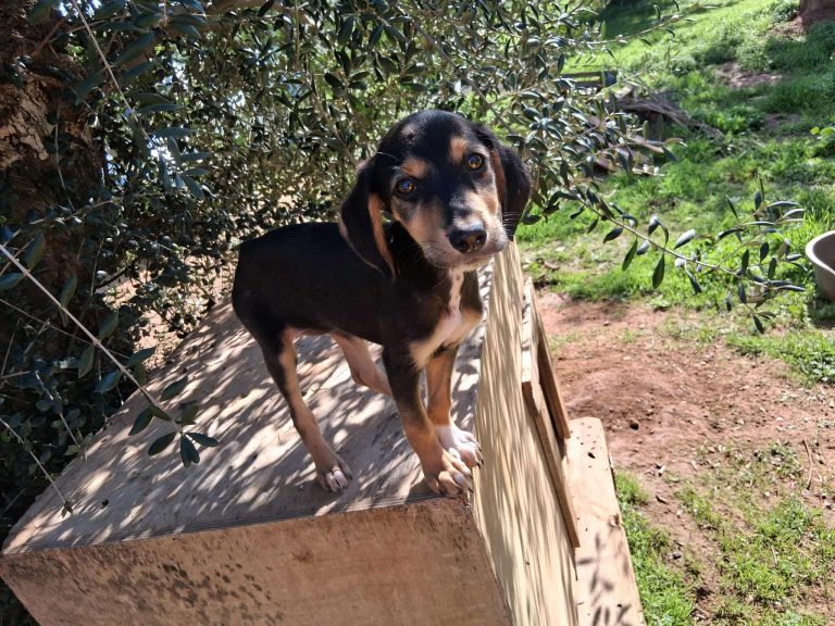 582080928_1714892803254698_1202982858885931288_n