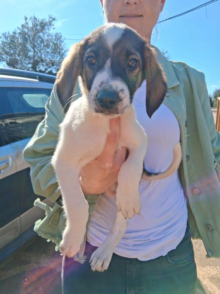 582086812_3855045061455217_2327765736401068816_n