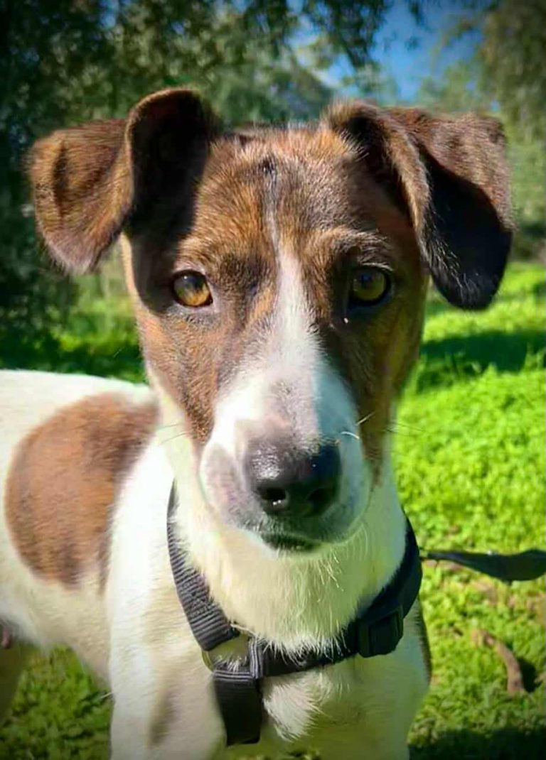 582108407_1836442003624347_7229715052104928473_n