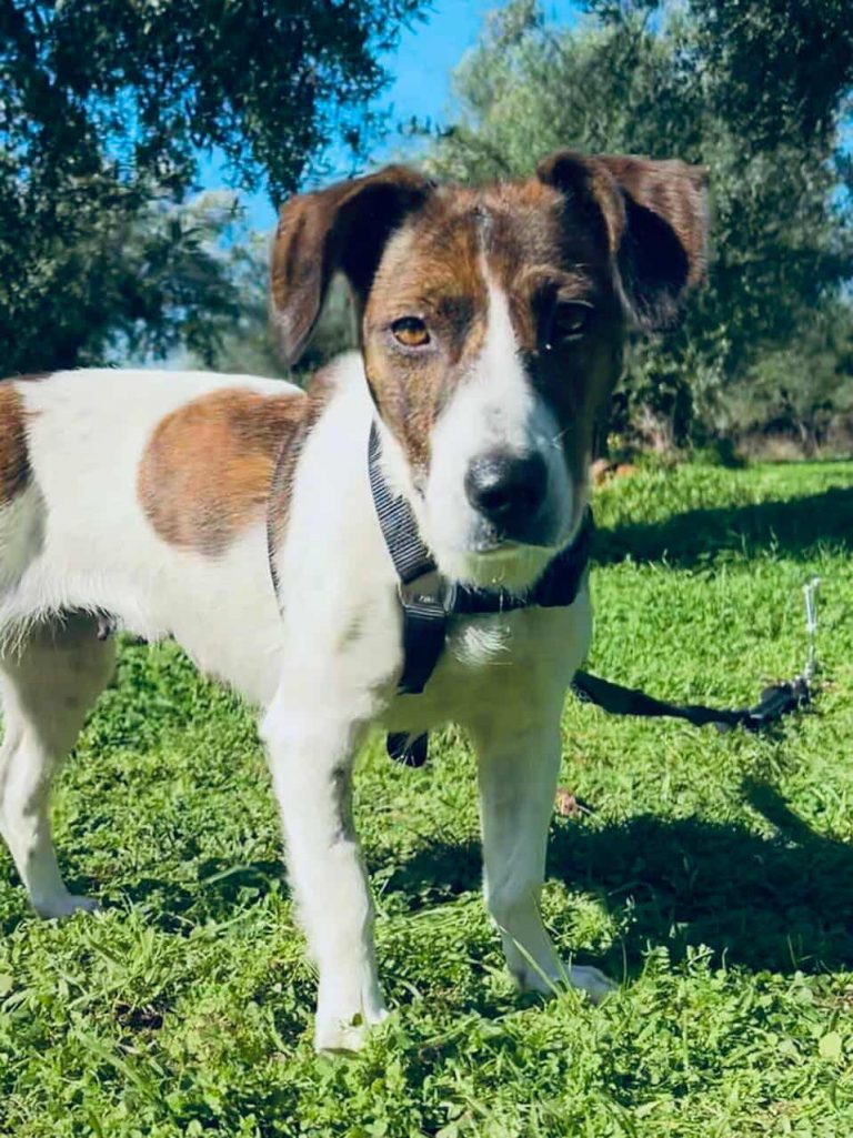 582115938_1854500508787312_3455052393939183532_n