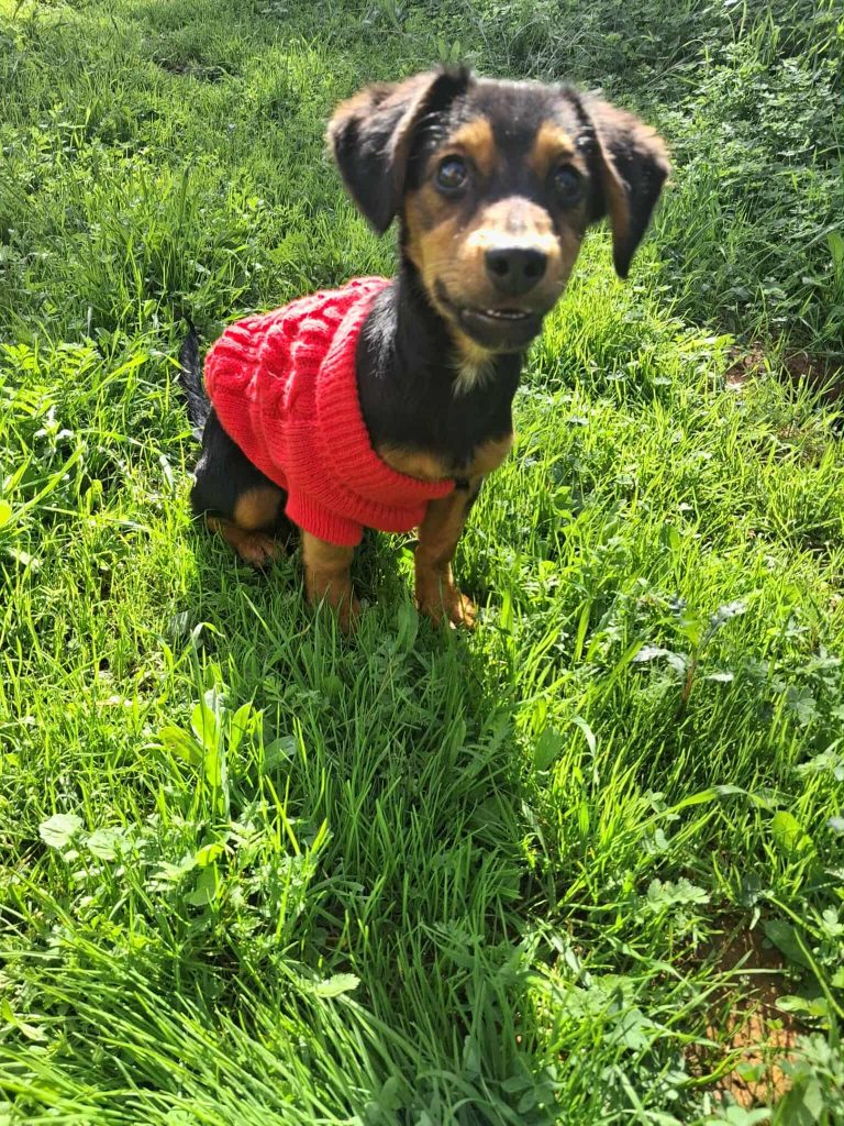 582149311_1331222555148128_8581287353217930601_n